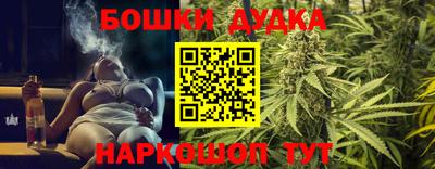 гашик Гатчина