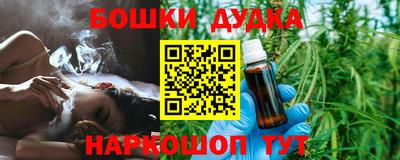 гашик Гатчина