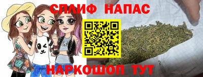 гашик Гатчина