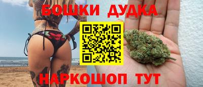 гашик Гатчина